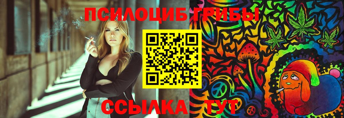 Галлюциногенные грибы Psilocybine cubensis Кубинка